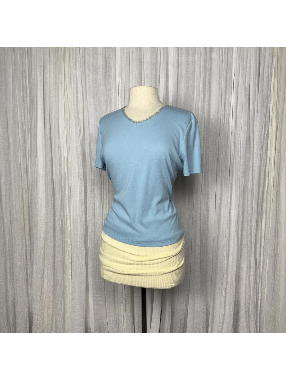 Preppy Y2K Coquette Cottage Light Blue V-Neck Short Sleeve Top (L)